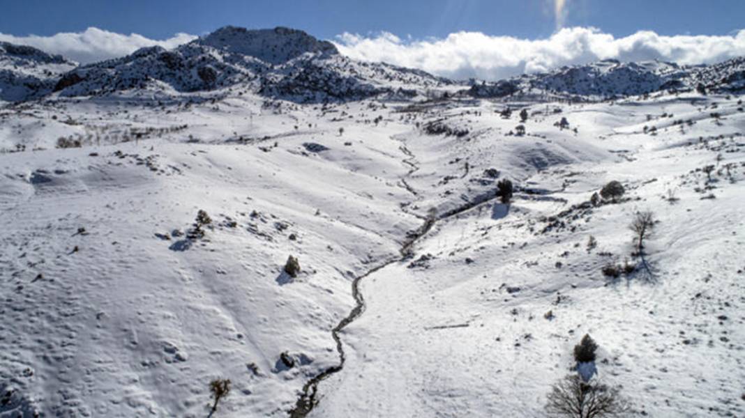 Torosların zirvesinde buldu! 98 milyon yıllık deniz canlısı fosili 12