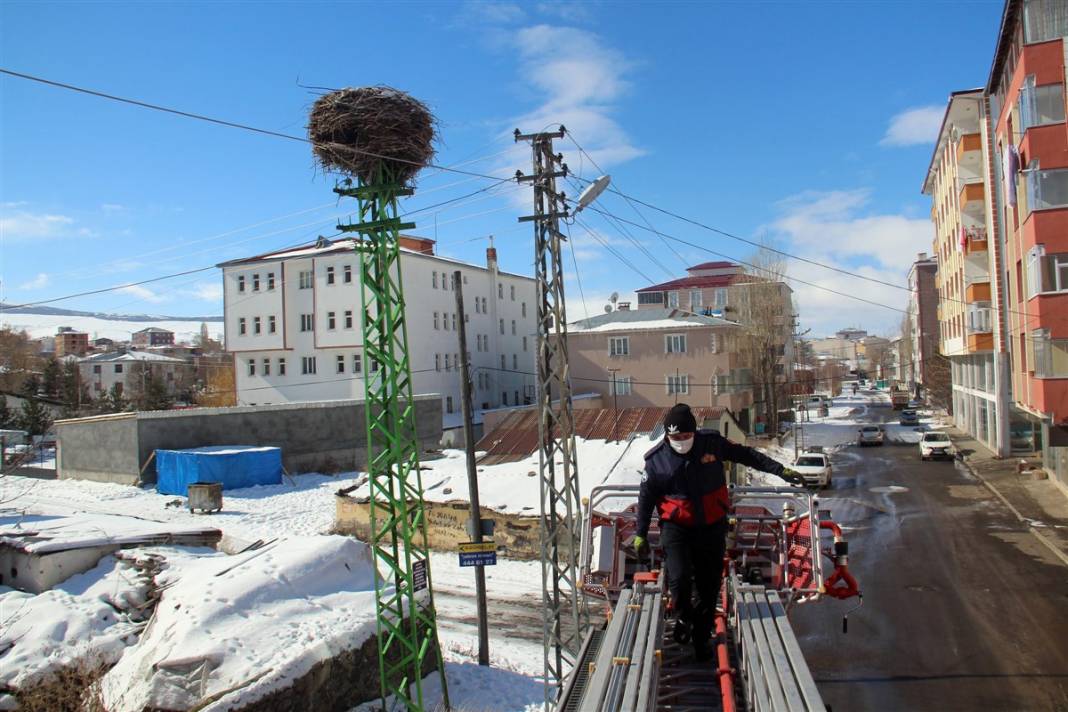 Kar ve buzdan temizledikleri yuvaya ekmek bıraktılar 6