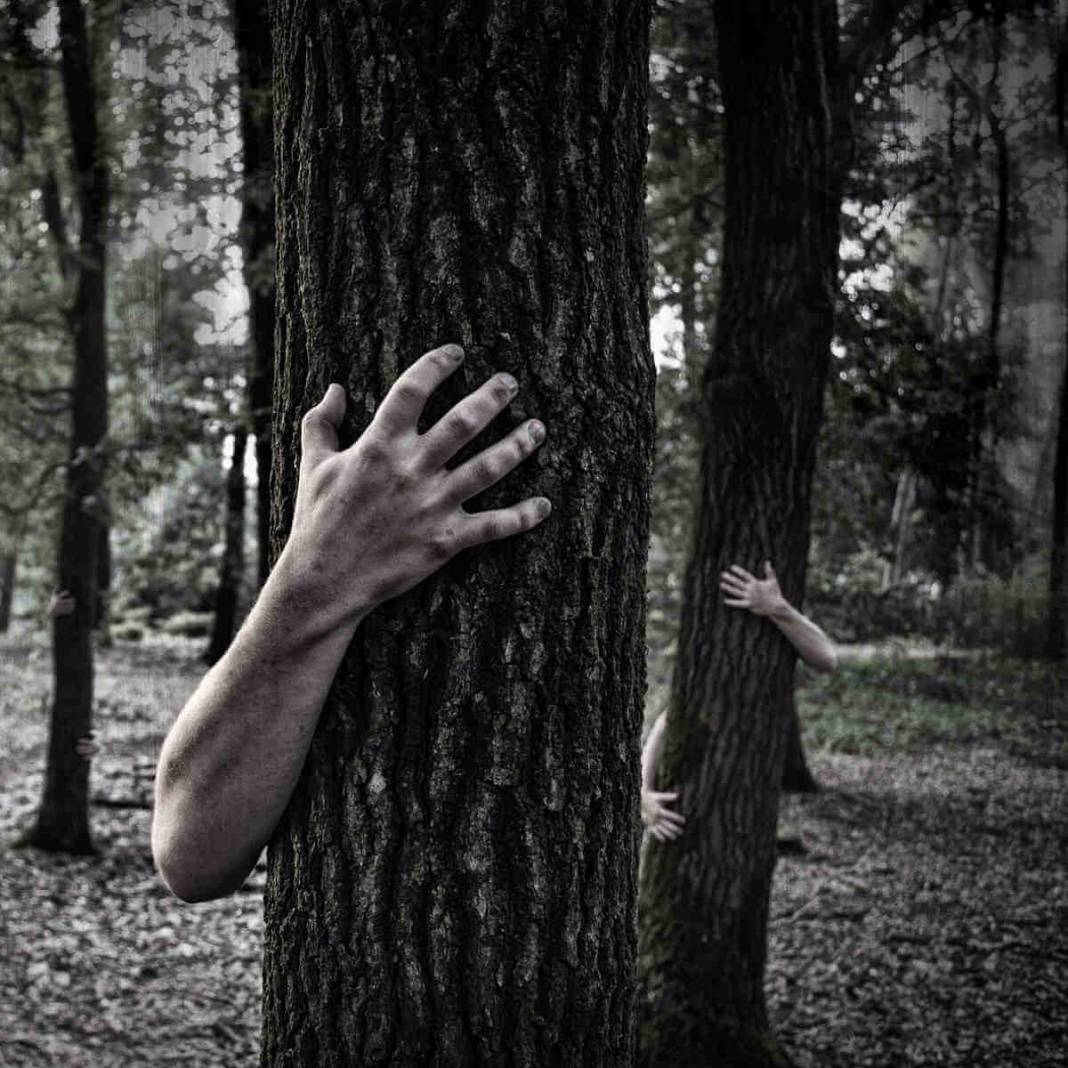 Nostradamus’un 2021 kehaneti: Bir kit alın, bir plan yapın, hazırlıklı olun 8