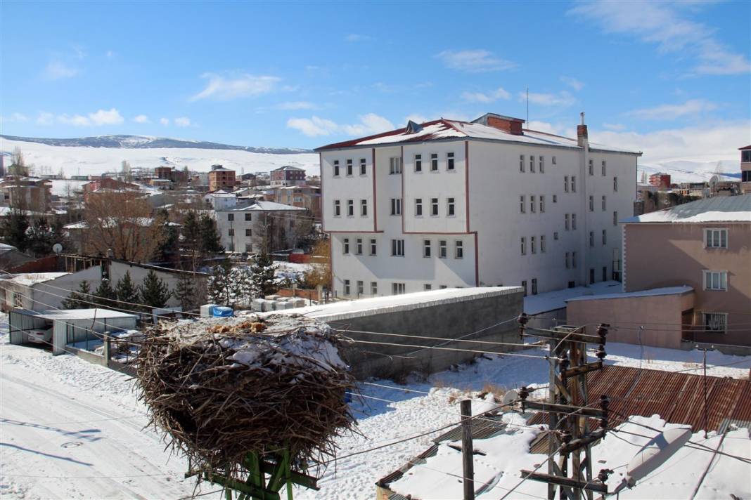 Kar ve buzdan temizledikleri yuvaya ekmek bıraktılar 12