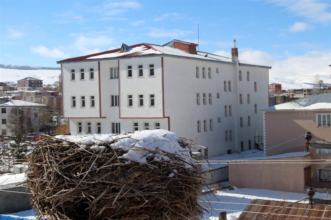 Kar ve buzdan temizledikleri yuvaya ekmek bıraktılar 15