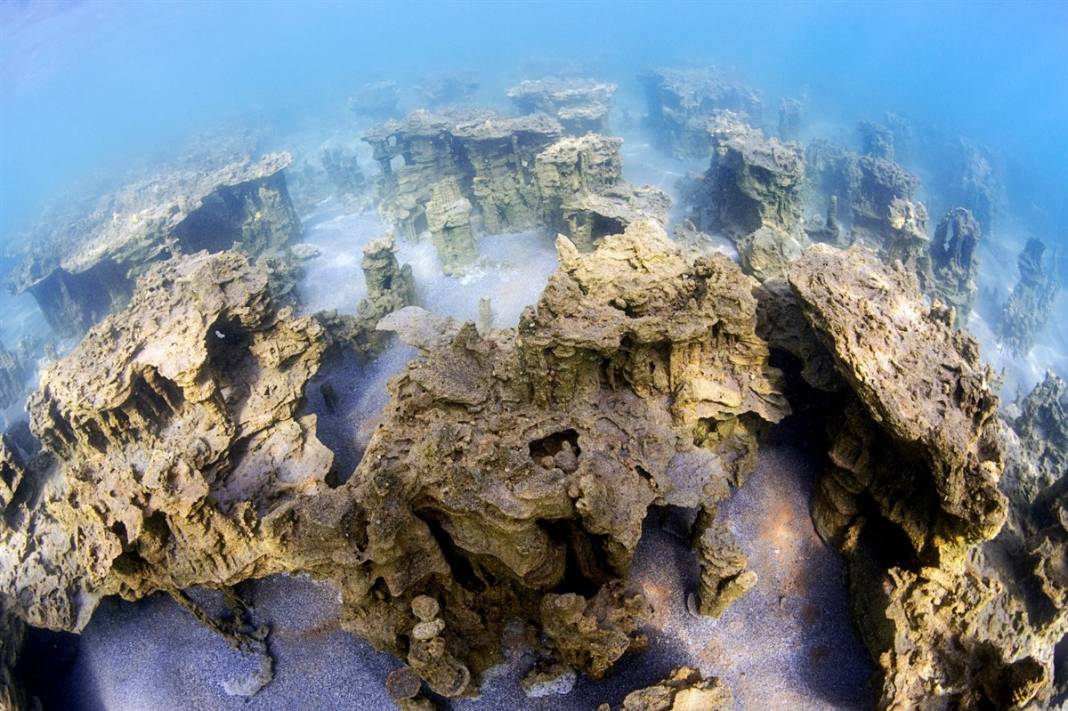 Van Gölü'nde mucize: Yüz binlerce yıl sonra ilk kez insanoğlu ile karşılaştı 17