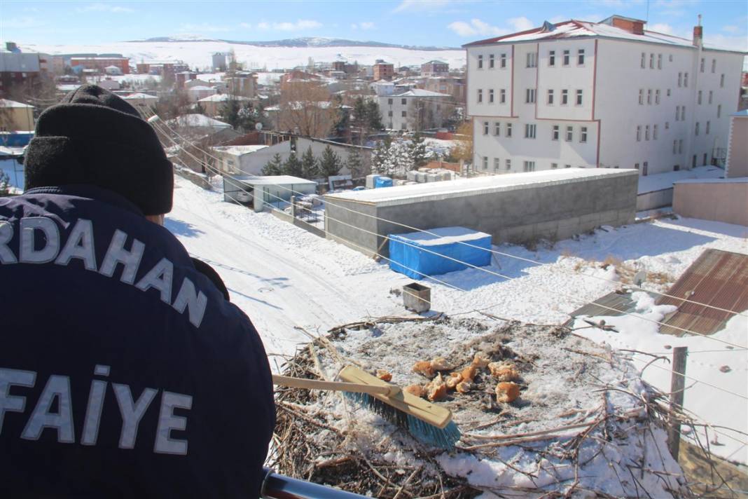 Kar ve buzdan temizledikleri yuvaya ekmek bıraktılar 16