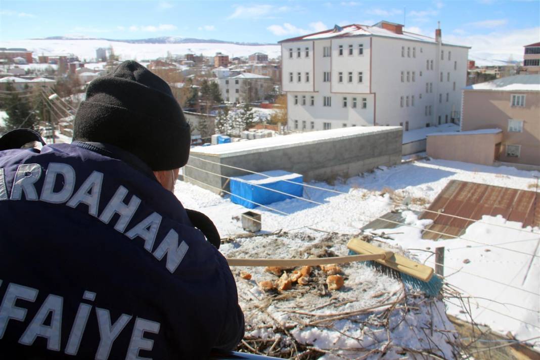 Kar ve buzdan temizledikleri yuvaya ekmek bıraktılar 17