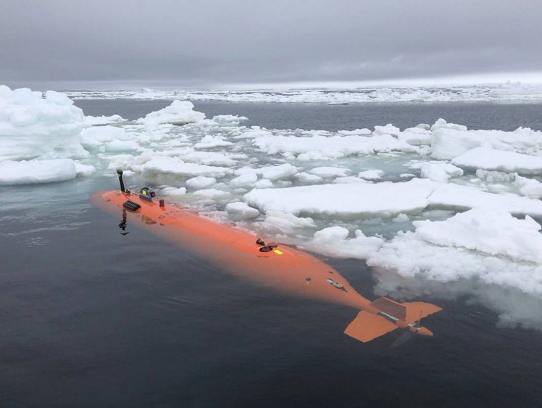 Kıyamet Günü Buzulu alarm veriyor! İnsanlığı felakete sürükleyecek 1
