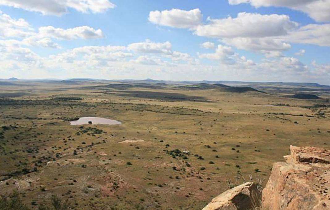 Canlıların yüzde 97'sinin yok olduğu sürece girdik: 250 milyon yıl sonra geri döndü 1