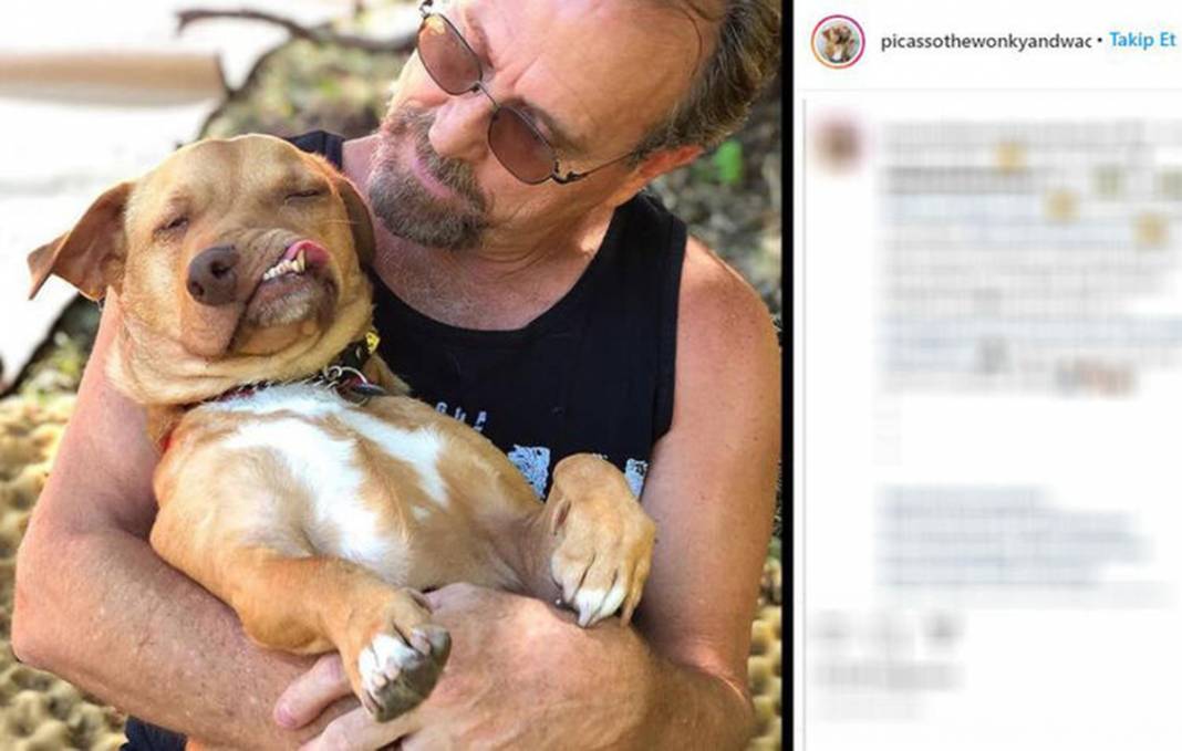 Ölüme terk edilen çarpık surat Picasso şimdi fenomen 13