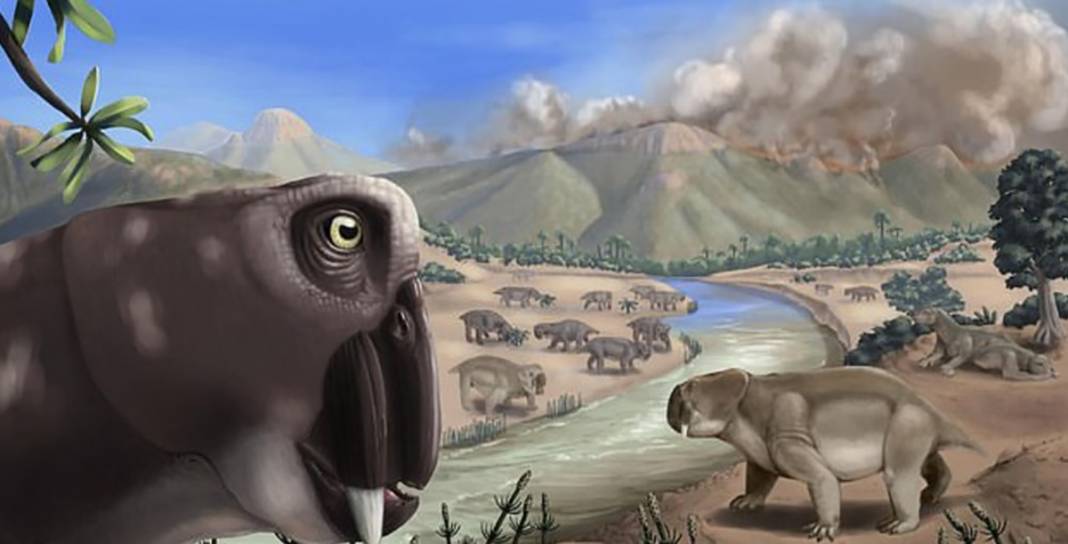 Canlıların yüzde 97'sinin yok olduğu sürece girdik: 250 milyon yıl sonra geri döndü 2