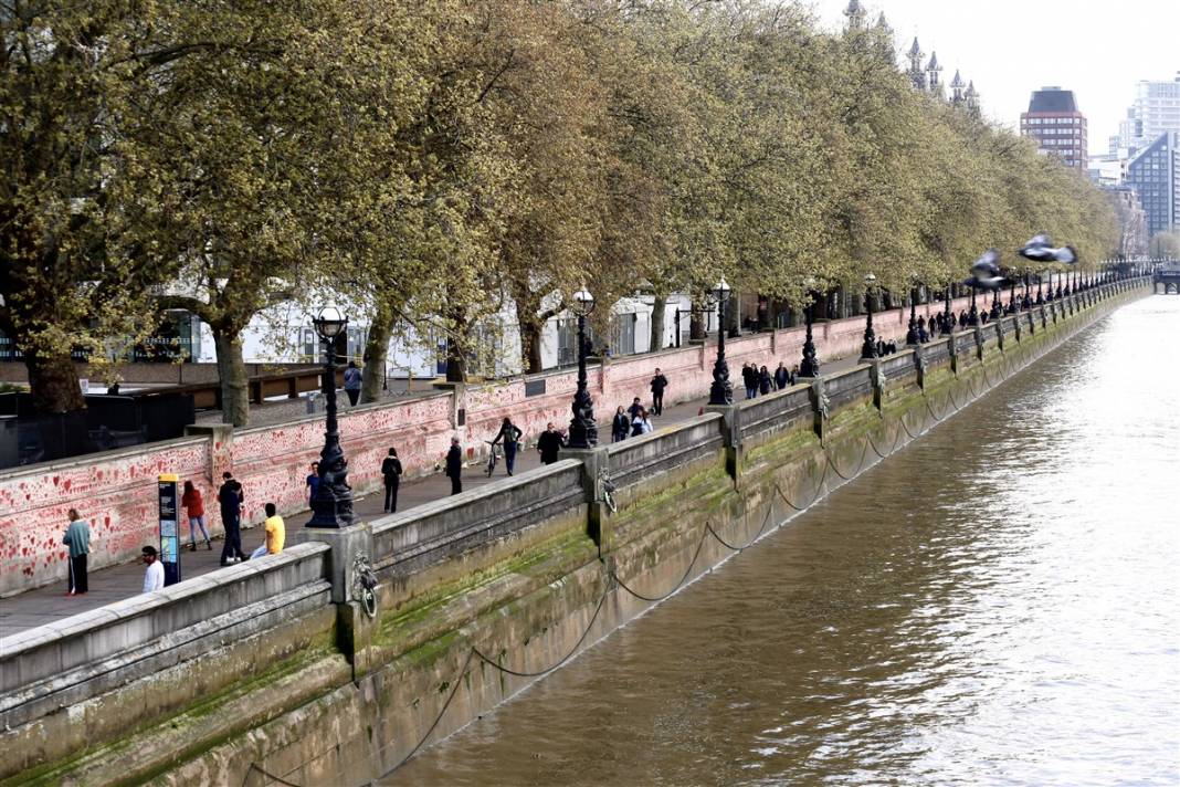 İşte korona yasının fotoğrafı 65