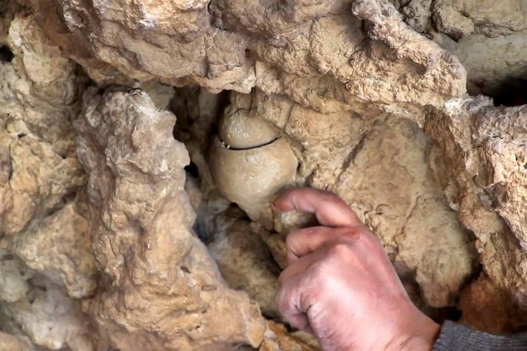 Kayıp okyanusun sırrı: Elazığ'da 48 milyon yıllık keşif 2