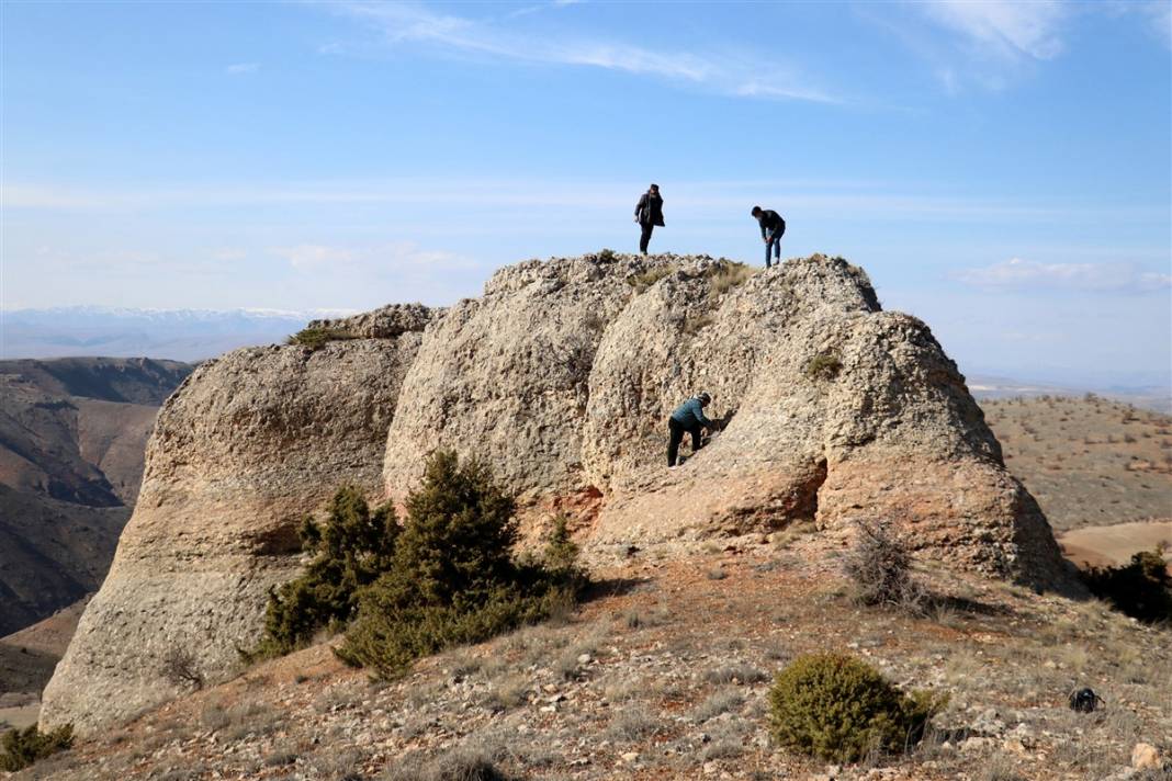 Kayıp okyanusun sırrı: Elazığ'da 48 milyon yıllık keşif 6