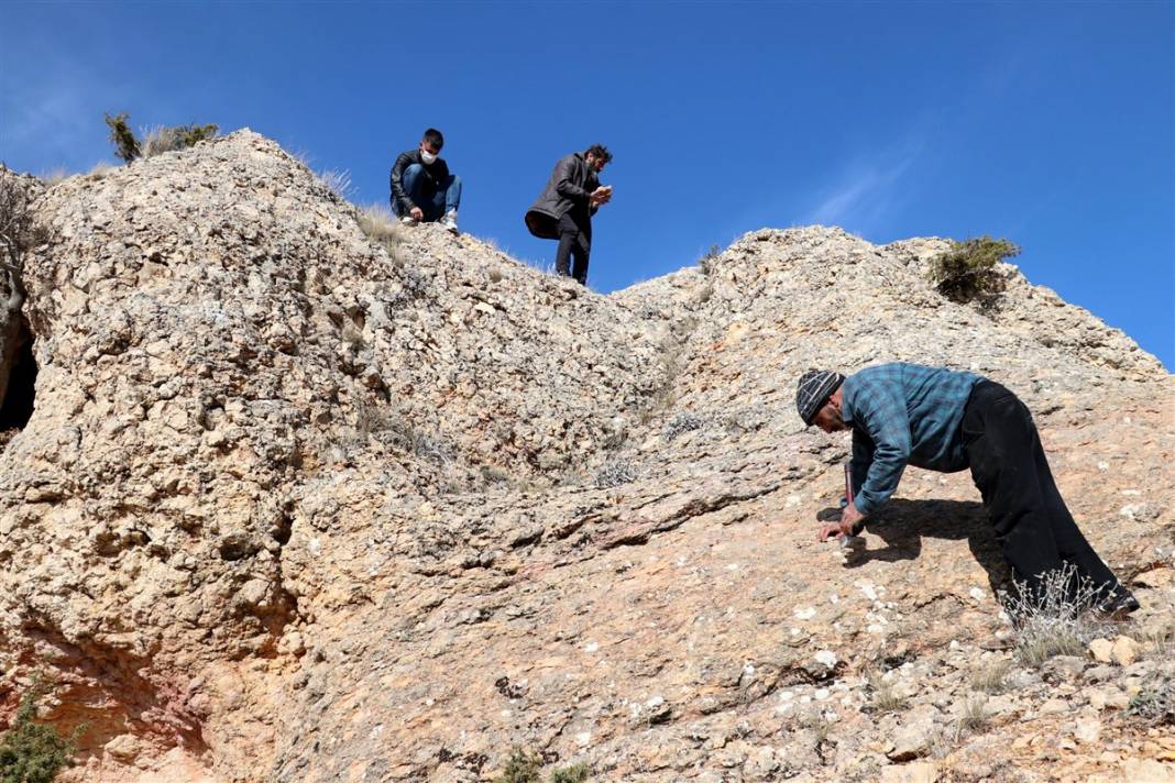 Kayıp okyanusun sırrı: Elazığ'da 48 milyon yıllık keşif 7