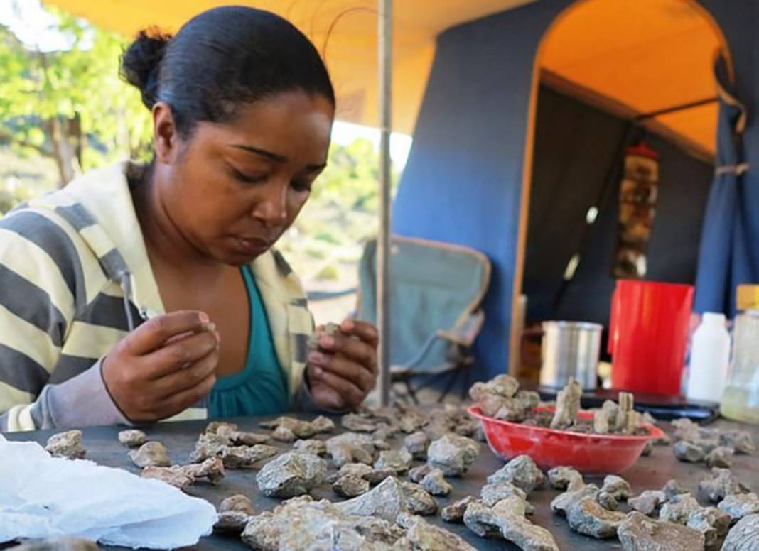 Canlıların yüzde 97'sinin yok olduğu sürece girdik: 250 milyon yıl sonra geri döndü 3