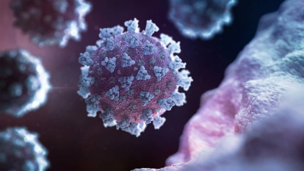 Kovid-19 kabusunda en kötüsü mü? 18 mutasyon birleşti ve... 6