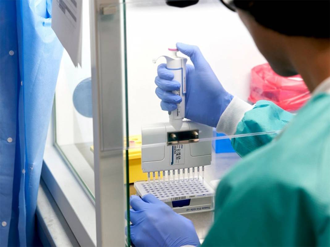 Türkiye'ye özgü varyant mı? Yeni kabusumuz yalancı negatif 6