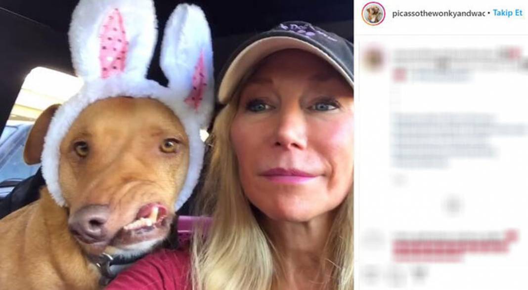 Ölüme terk edilen çarpık surat Picasso şimdi fenomen 8