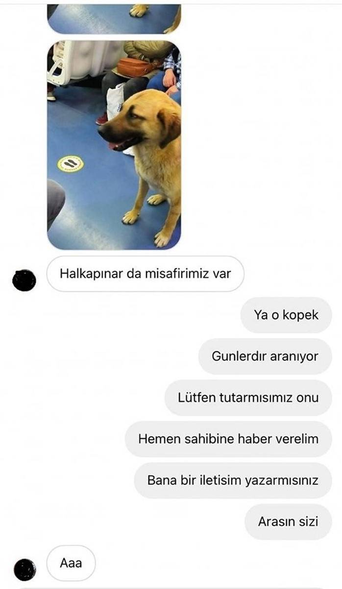 Evine dönmek için İzmir'i toplu ulaşımla dolaştı! Sam sonunda bulundu 9