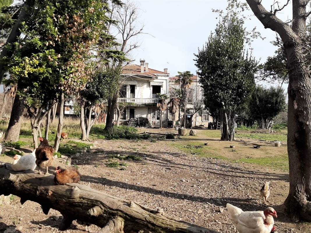 Kadıköy'ün ‘Madam Tamara'sı 118 yıldır direniyor 5