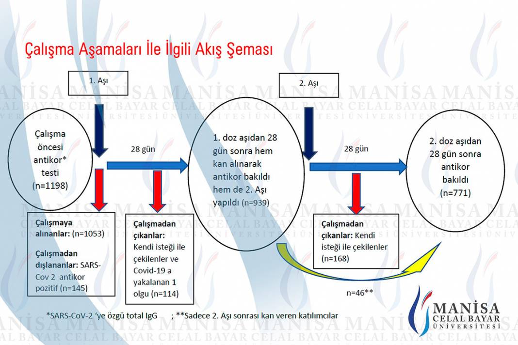 Sinovac aşısının etkisi kanıtlandı! İşte Türkiye'deki çarpıcı araştırma 13