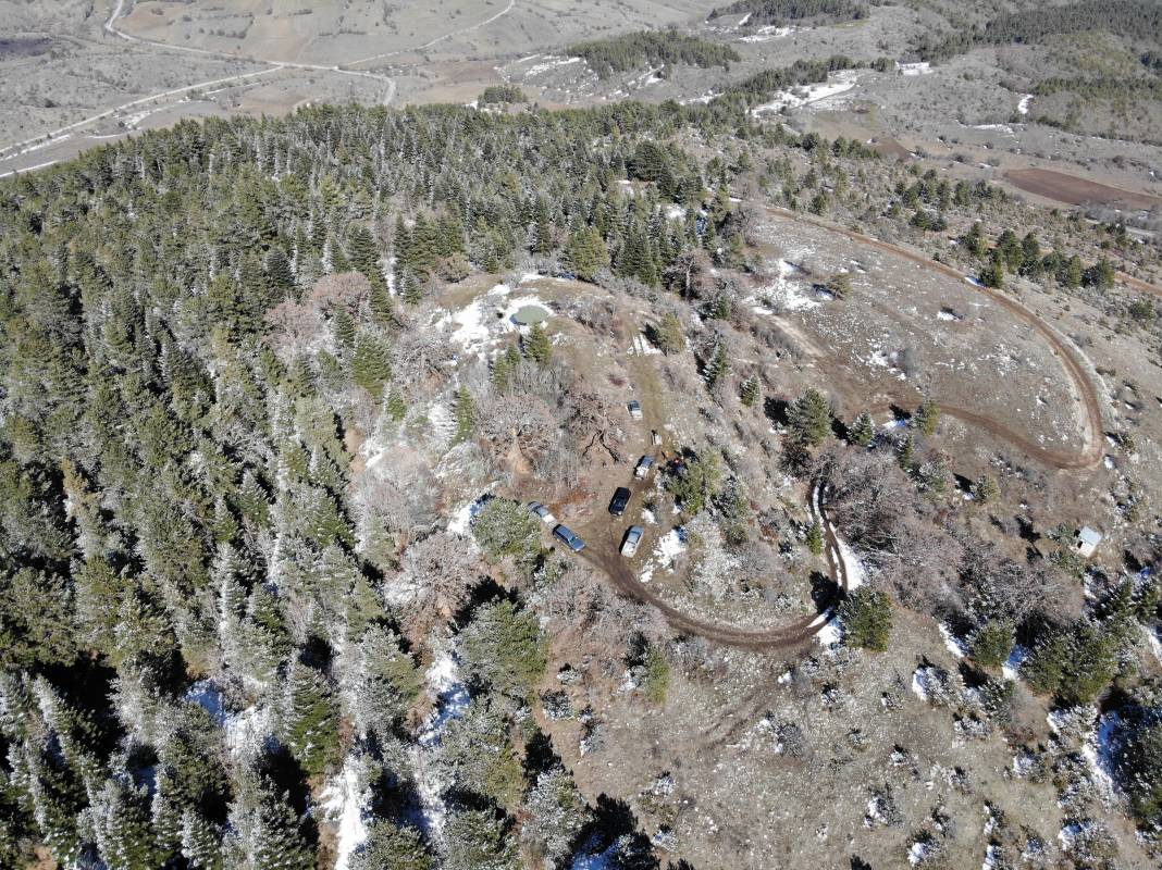 5 asrın sessiz tanıkları Türk Fındığı ağaçları 2