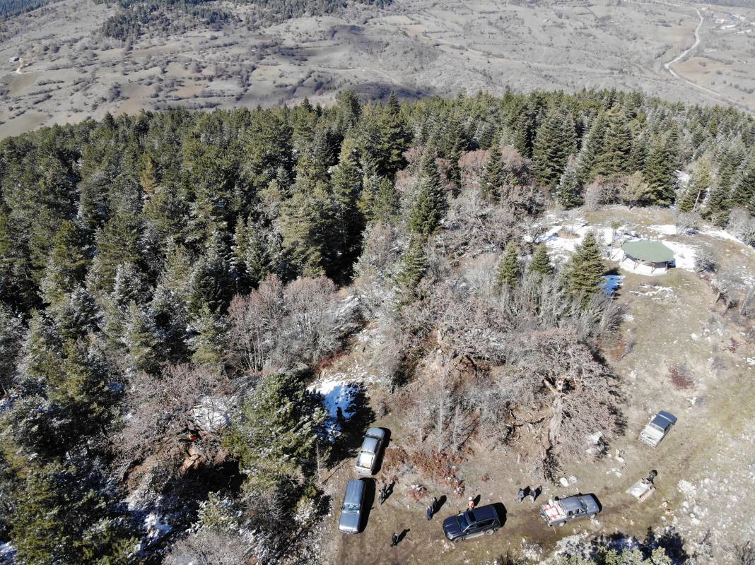 5 asrın sessiz tanıkları Türk Fındığı ağaçları 5