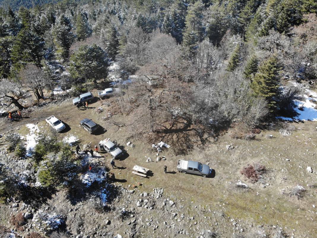 5 asrın sessiz tanıkları Türk Fındığı ağaçları 11