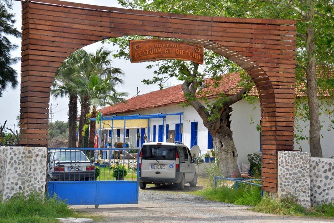 Kayıp atlar ile ilgili yeni gelişme: İnşallah sucuk yapılmamıştır 13