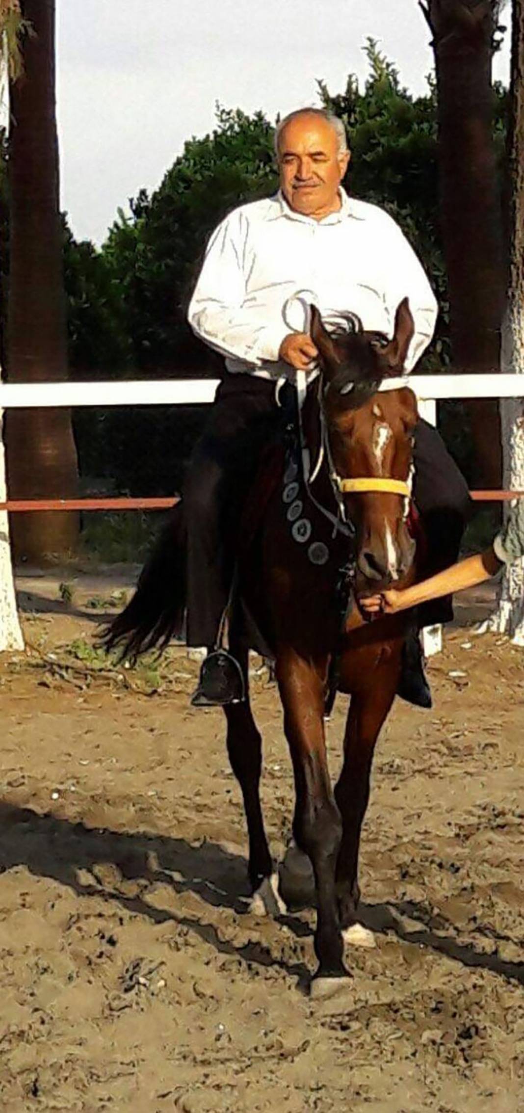 Kayıp atlar ile ilgili yeni gelişme: İnşallah sucuk yapılmamıştır 3