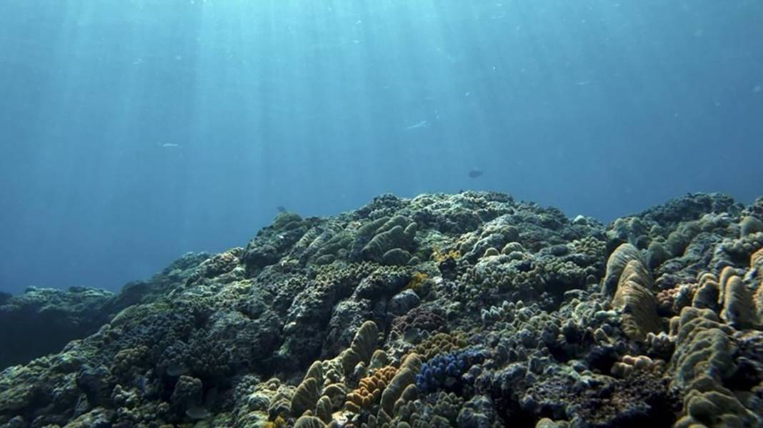 İstanbullular şikayet etmesin! Dünyanın en uzun  trafik sıkışıklığı kaç gün sürdü? 10