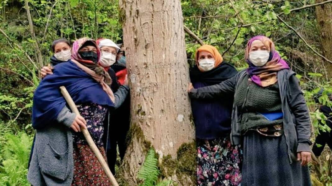 İkizdere'de neler oluyor? Kim ne dedi?  Kare kare yaşananlar... 12