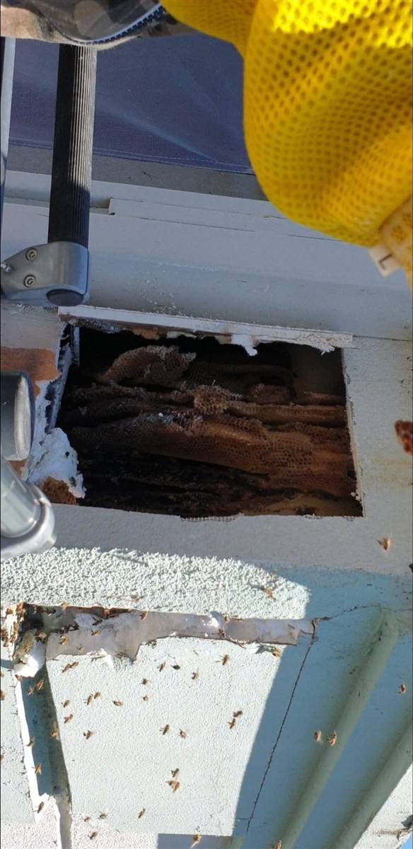 Yıkılan okul duvarındaki inanılmaz manzara 2