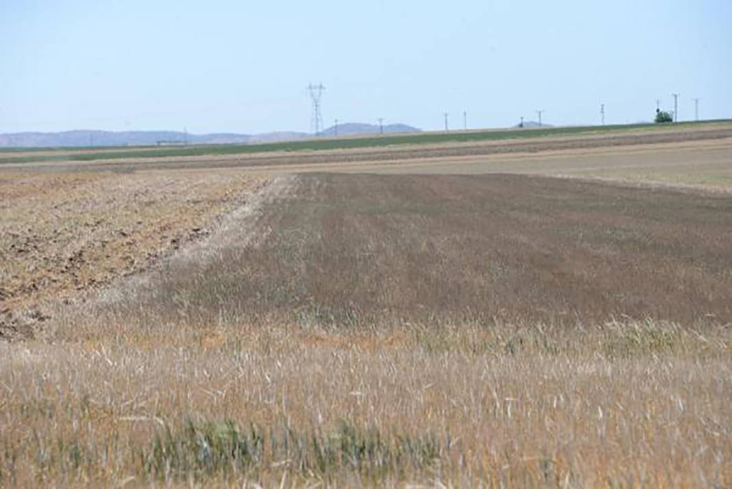 Ülkece yanıyoruz tek normal Marmara 2