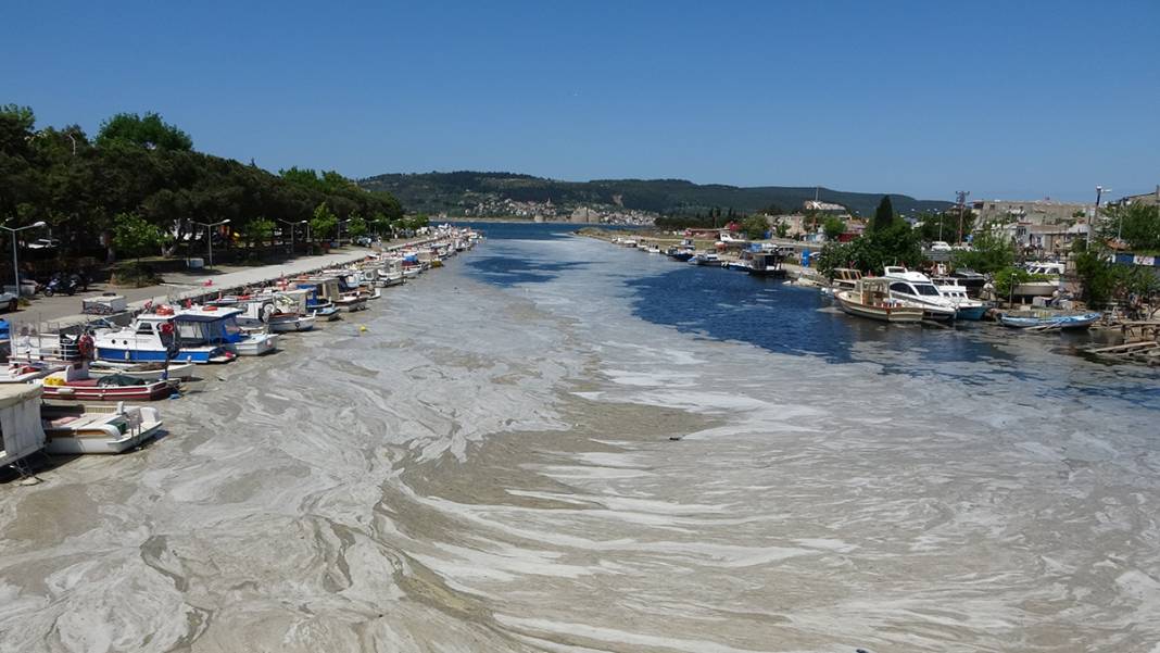 Müsilaj Çanakkale'yi ikiye bölen Sarıçay'ı da kapladı 5