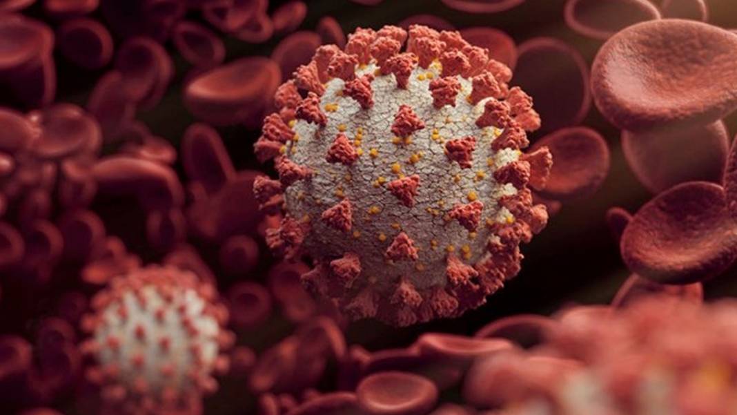 Biden'ın koronavirüs ekibinin başındaki isim: İnanmıyoruz... 2