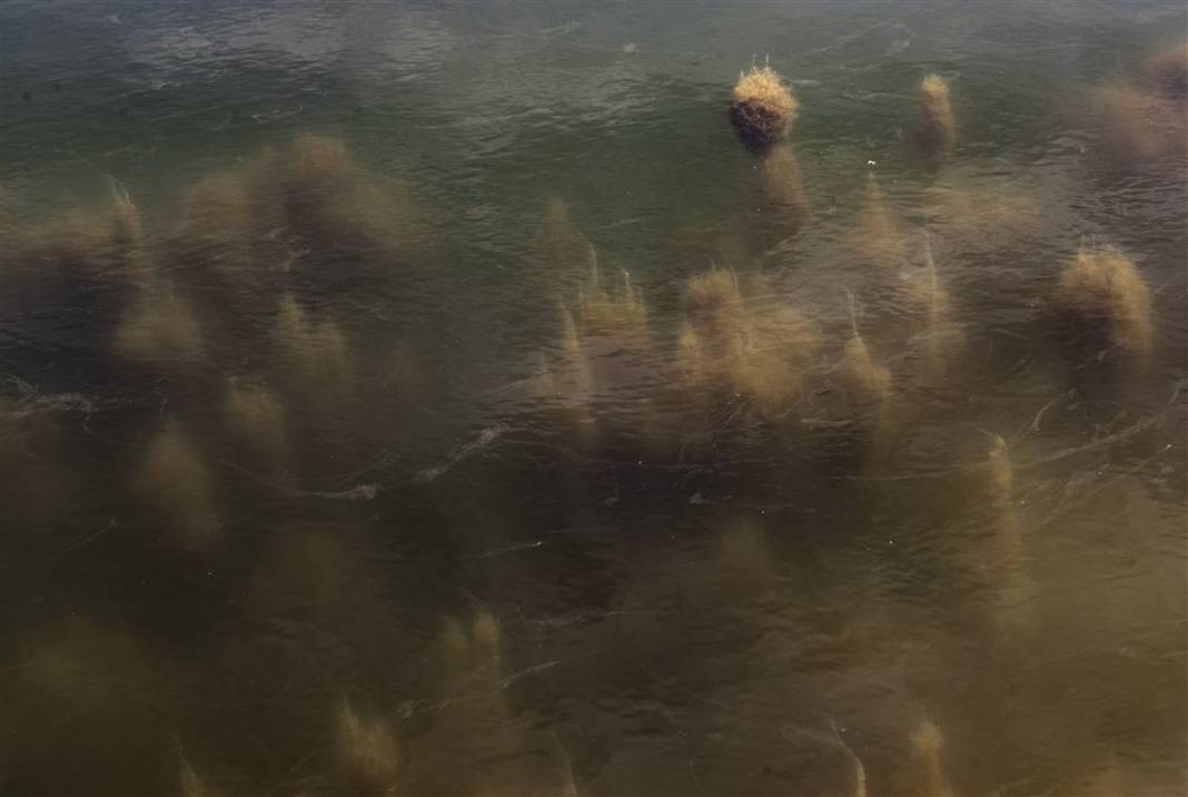 Marmara'da tehlike büyüyor! Denizin dibi de dolmaya başladı 13