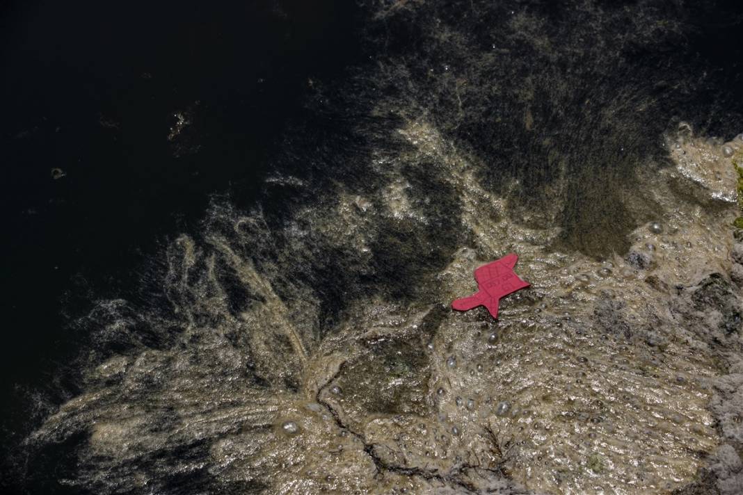 Marmara'da tehlike büyüyor! Denizin dibi de dolmaya başladı 14