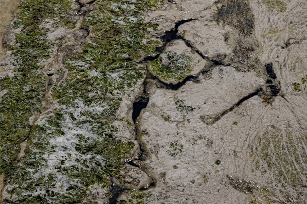 Marmara'da tehlike büyüyor! Denizin dibi de dolmaya başladı 15