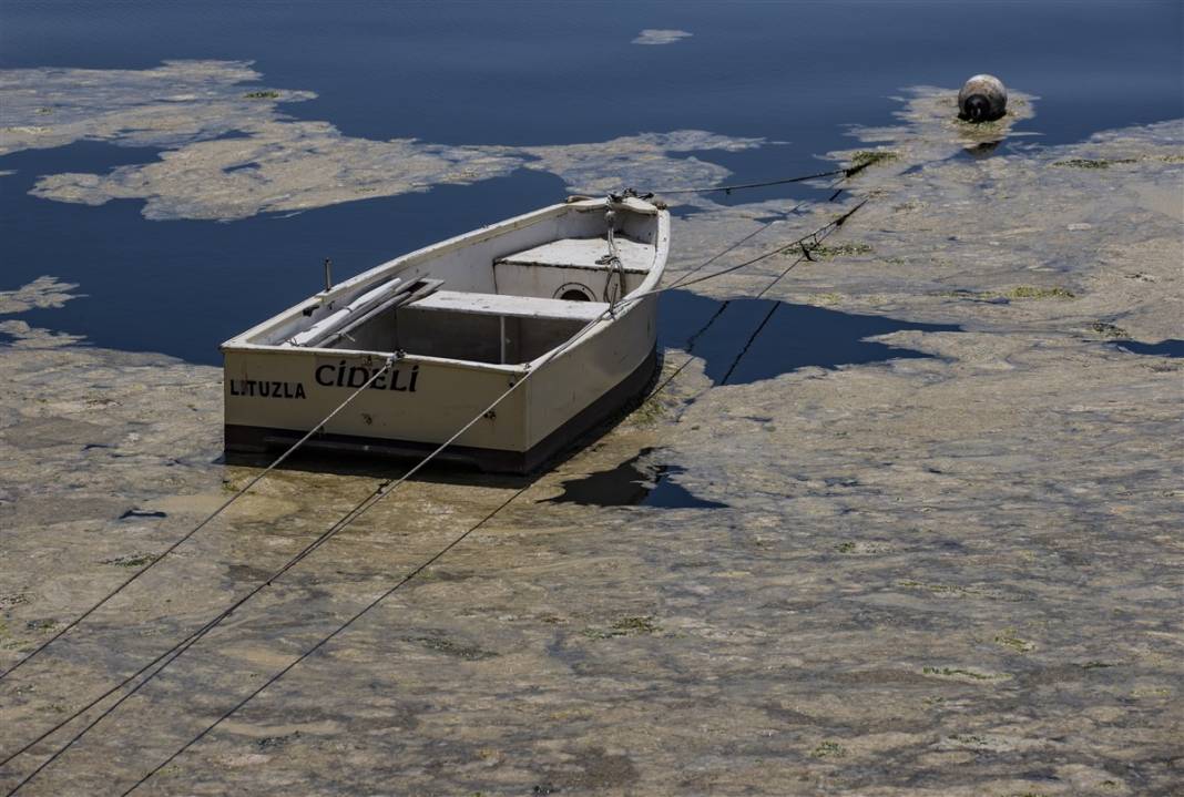 Marmara'da tehlike büyüyor! Denizin dibi de dolmaya başladı 17