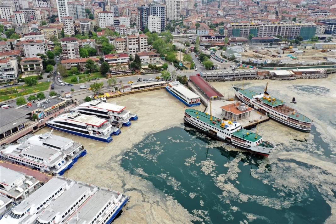 Marmara'da tehlike büyüyor! Denizin dibi de dolmaya başladı 19