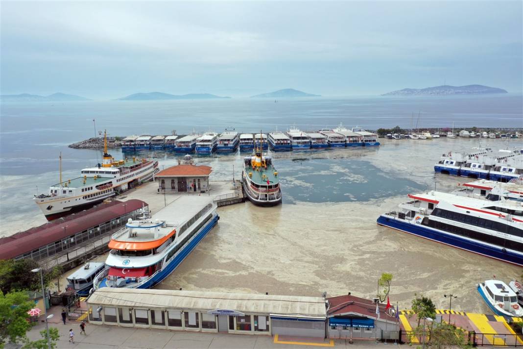 Marmara'da tehlike büyüyor! Denizin dibi de dolmaya başladı 21