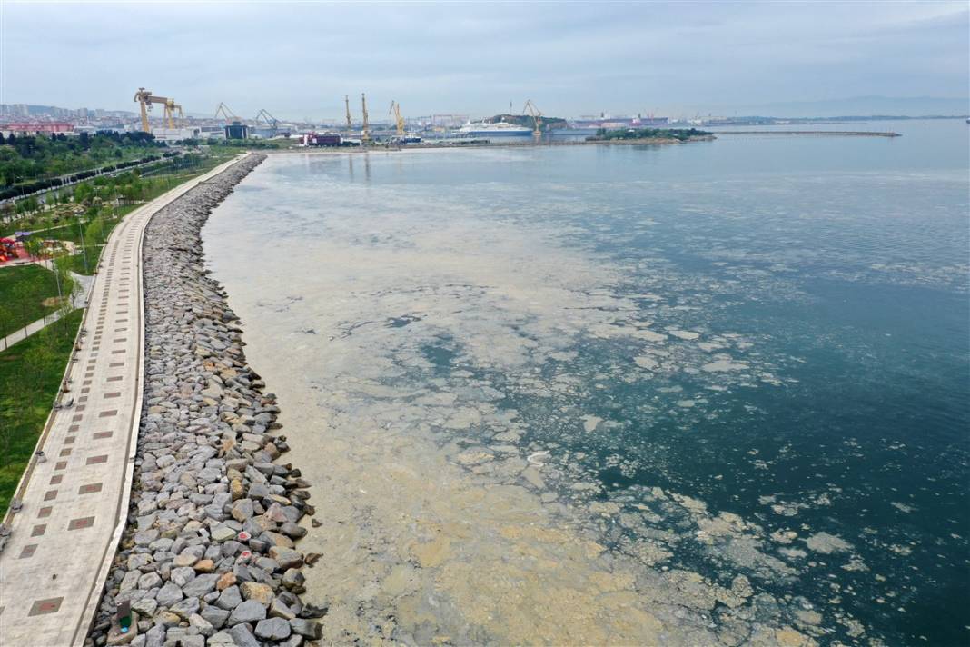 Marmara'da tehlike büyüyor! Denizin dibi de dolmaya başladı 24