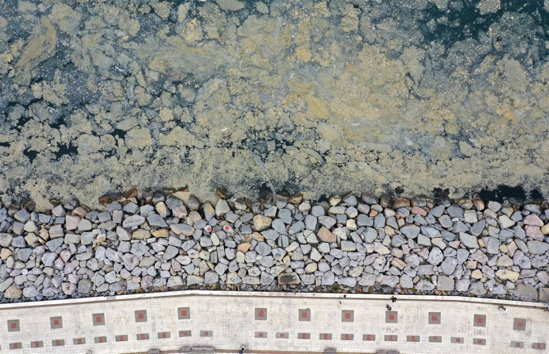 Marmara'da tehlike büyüyor! Denizin dibi de dolmaya başladı 25