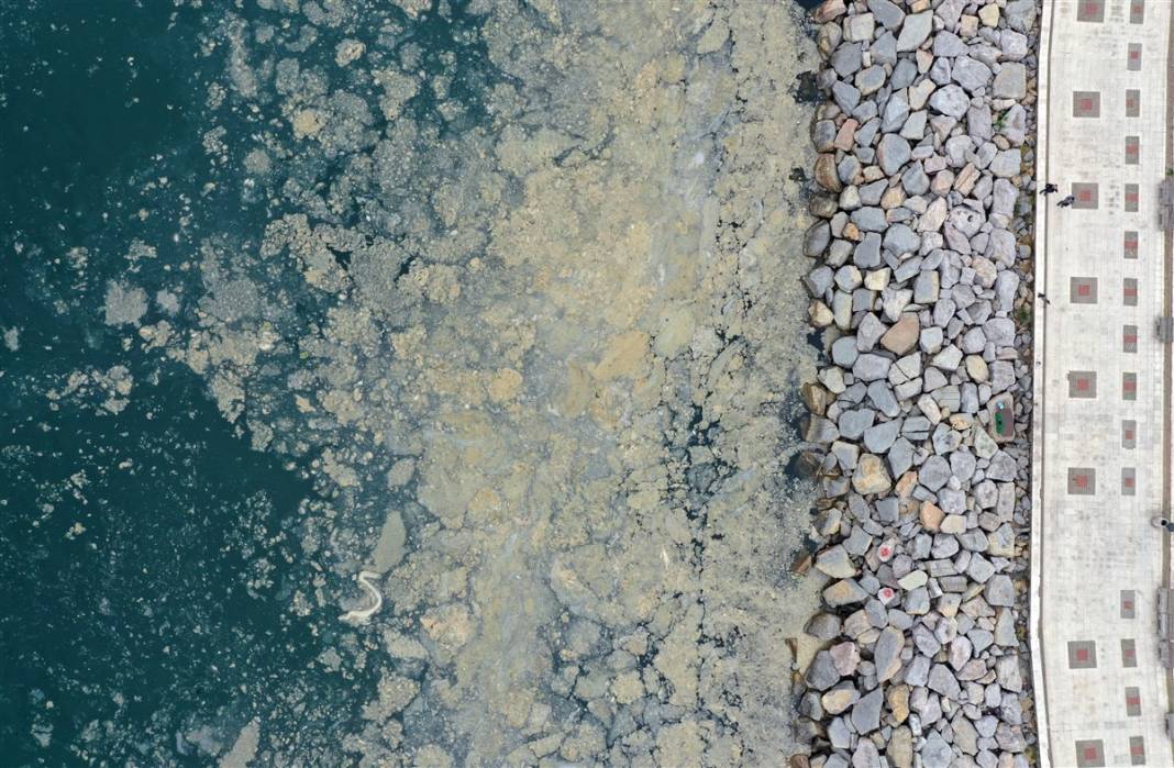 Marmara'da tehlike büyüyor! Denizin dibi de dolmaya başladı 26