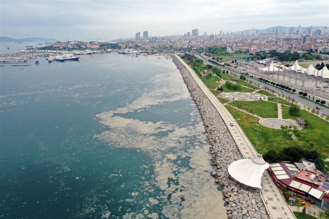 Marmara'da tehlike büyüyor! Denizin dibi de dolmaya başladı 28