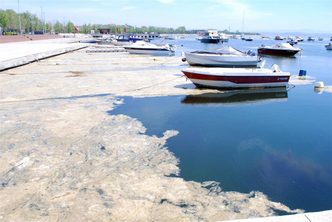 Marmara'da tehlike büyüyor! Denizin dibi de dolmaya başladı 29