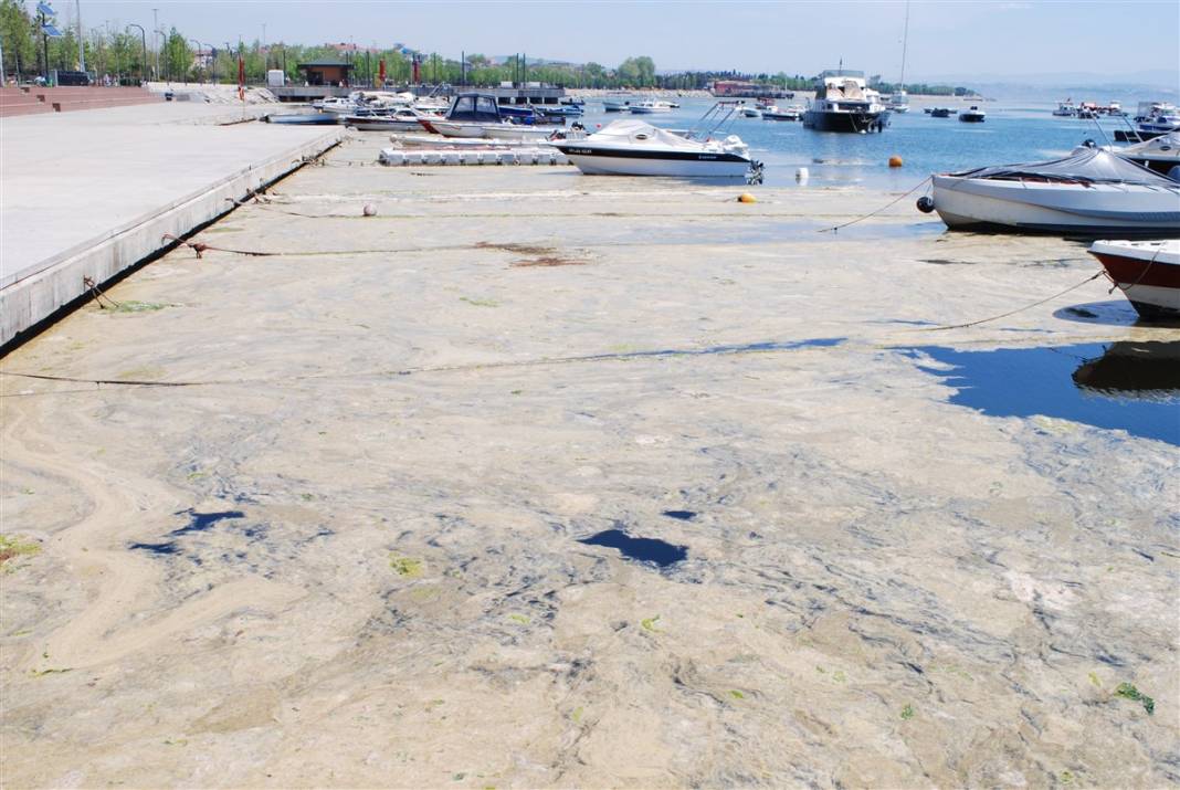 Marmara'da tehlike büyüyor! Denizin dibi de dolmaya başladı 30