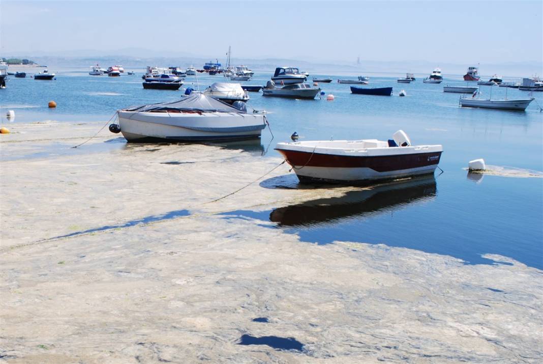 Marmara'da tehlike büyüyor! Denizin dibi de dolmaya başladı 31