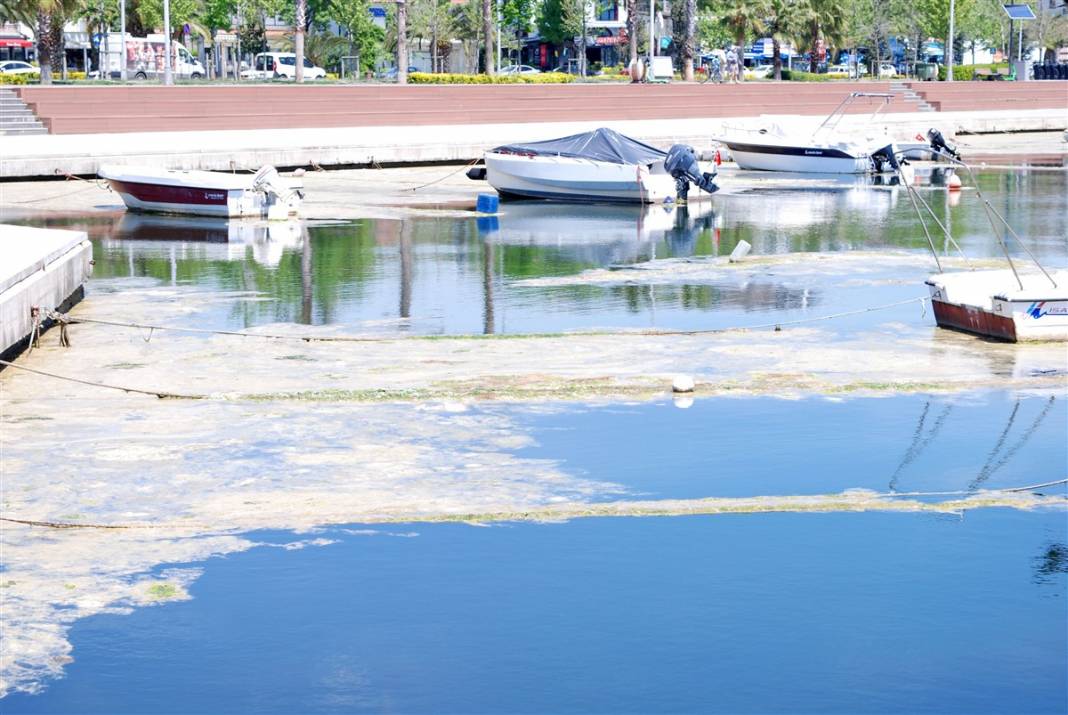 Marmara'da tehlike büyüyor! Denizin dibi de dolmaya başladı 32