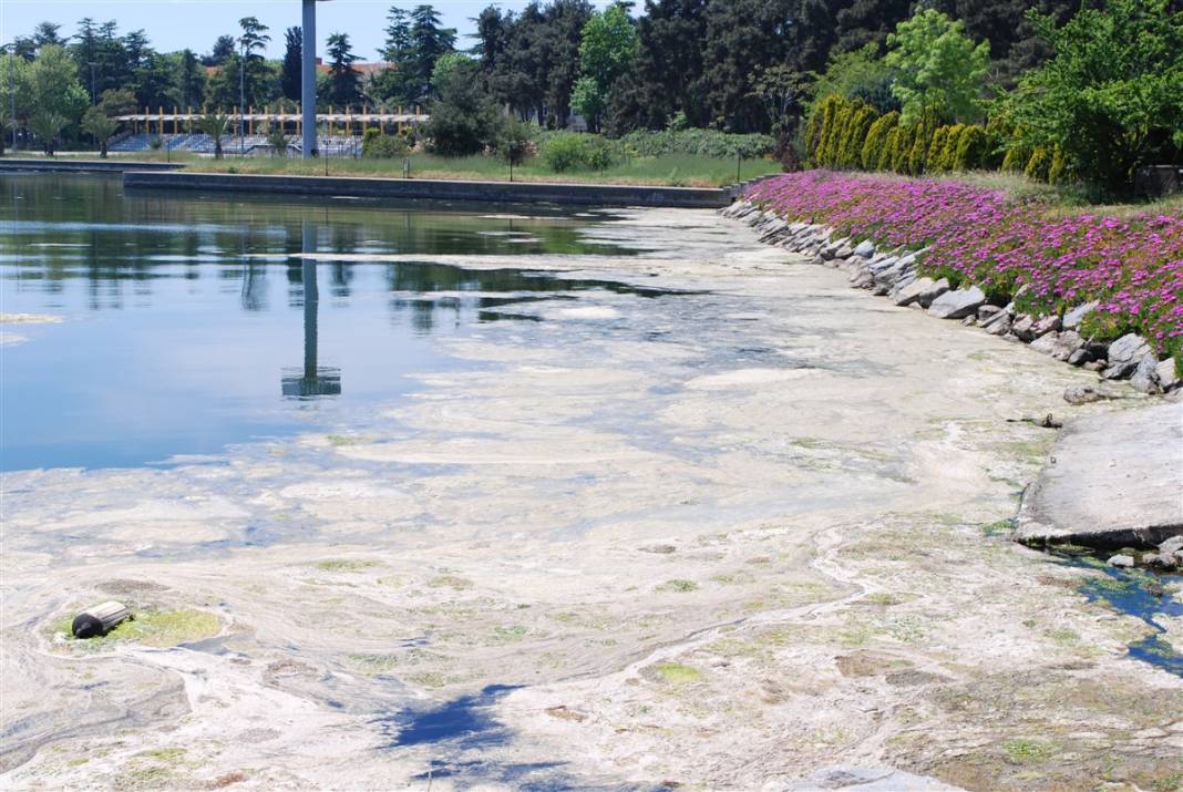 Marmara'da tehlike büyüyor! Denizin dibi de dolmaya başladı 33