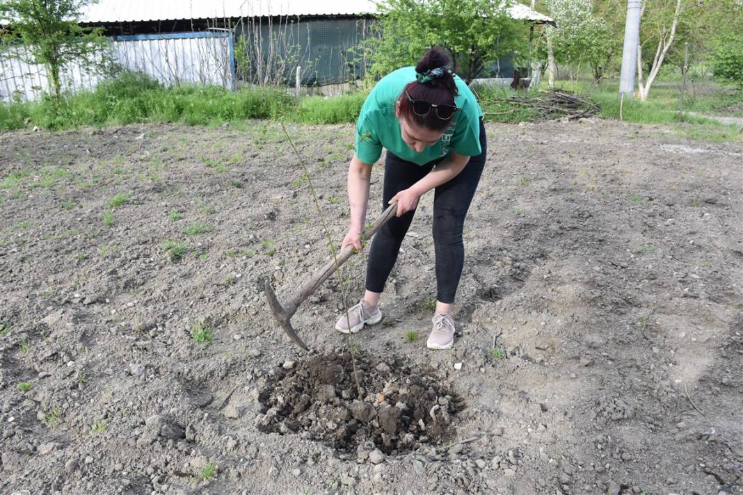 91 yıl önce asker arkadaşından aldı, bugün bir köyün gelir kapısı oldu 4